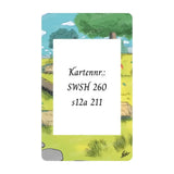 Glurak V Promo Extended Art Acryl Case Kartennummer SWSH 260 – bei CardsRfun