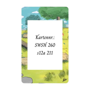 Glurak V Promo Extended Art Acryl Case Kartennummer SWSH 260 – bei CardsRfun