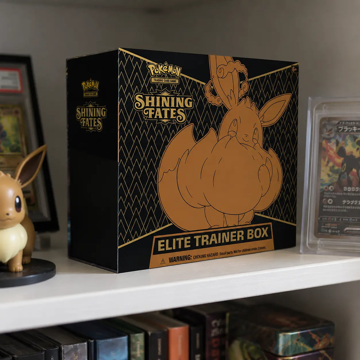 Pokemon Shining Fates ETB im Regal – Lifestyle mit Eevee-Figur und gegradetem Umbreon bei CardsRfun