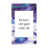 Suicune V Extended Art Acryl Case Kartennummer CRZ GG38 – bei CardsRfun
