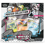 Pokemon Unova Poster Collection Black Bolt & White Flare Box – bei CardsRfun